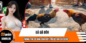 Đá Gà Đòn - Thông Tin Cơ Bản Cần Biết Trước Khi Cá Cược