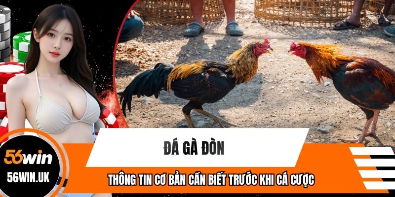 Đá Gà Đòn - Thông Tin Cơ Bản Cần Biết Trước Khi Cá Cược