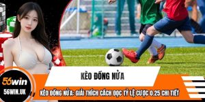 Kèo Đồng Nửa: Giải Thích Cách Đọc Tỷ Lệ Cược 0.25 Chi Tiết