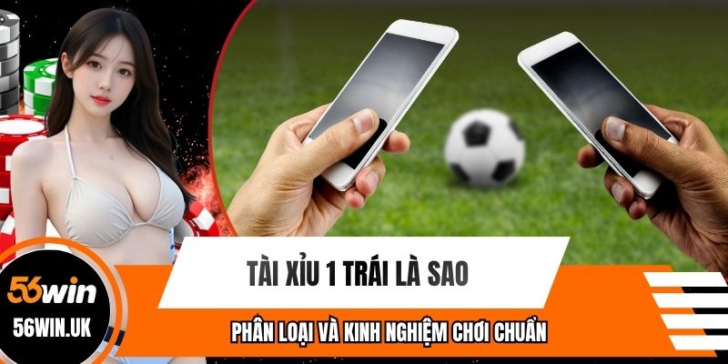 Tài Xỉu 1 Trái Là Sao - Phân Loại Và Kinh Nghiệm Chơi Chuẩn