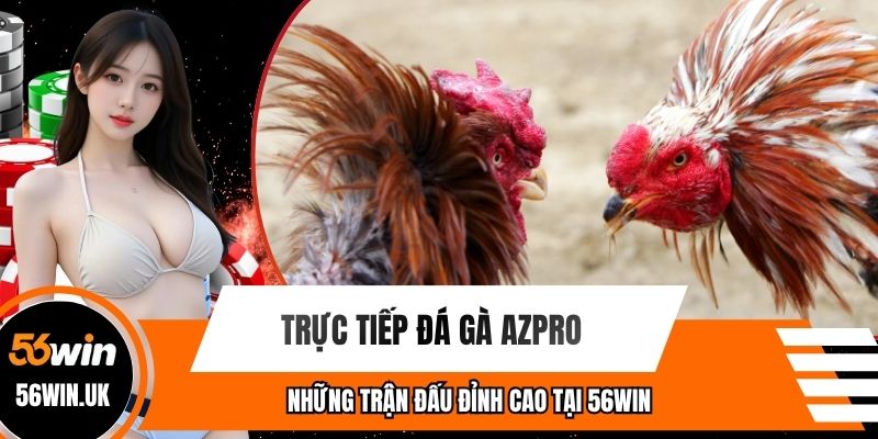 Trực Tiếp Đá Gà Azpro - Những Trận Đấu Đỉnh Cao Tại 56win